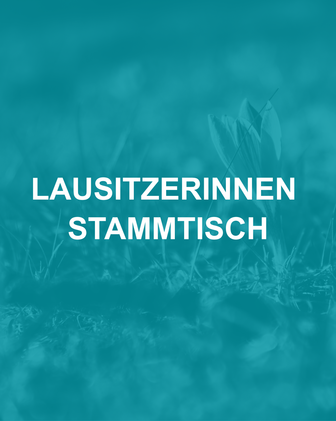 30.03.2026_Lausitzerinnen Stammtisch