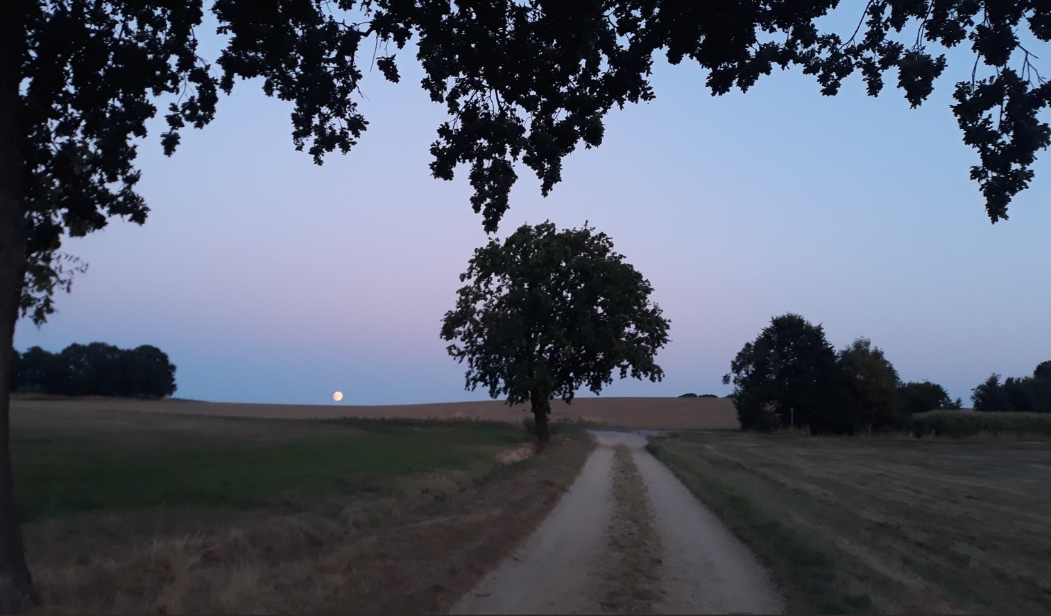 bildahnengefluester-klein